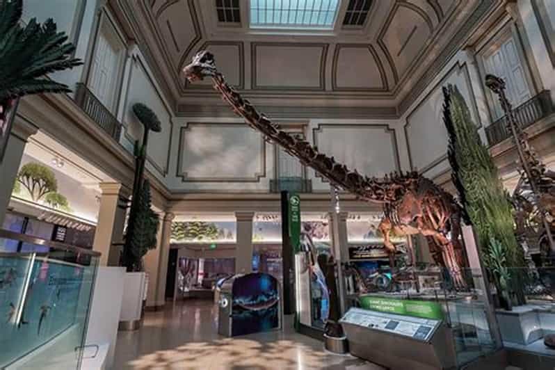 American History/Natural History Museum Combo Guided Tour - Two Smithsonian museums, one tight 3-hour plan that actually works
