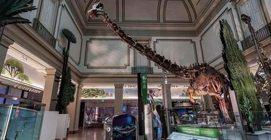 American History/Natural History Museum Combo Guided Tour - Natural Museum of Natural History: from rainforest energy to space curiosity