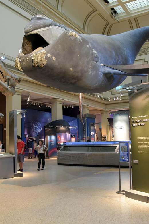 American History/Natural History Museum Combo Guided Tour - American History Museum: from national symbols to everyday tech-era change