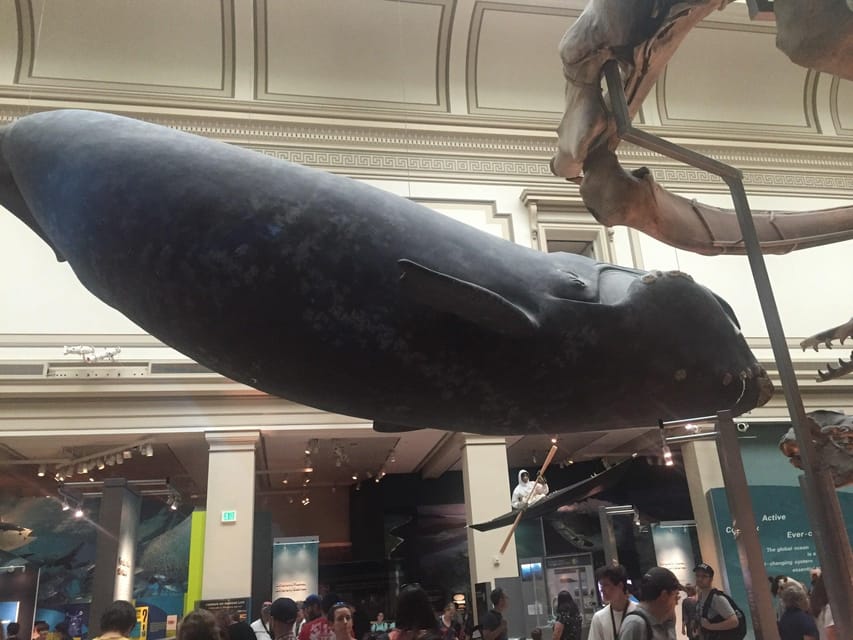 American History/Natural History Museum Combo Guided Tour - Where the tour starts (and why the meeting point matters)