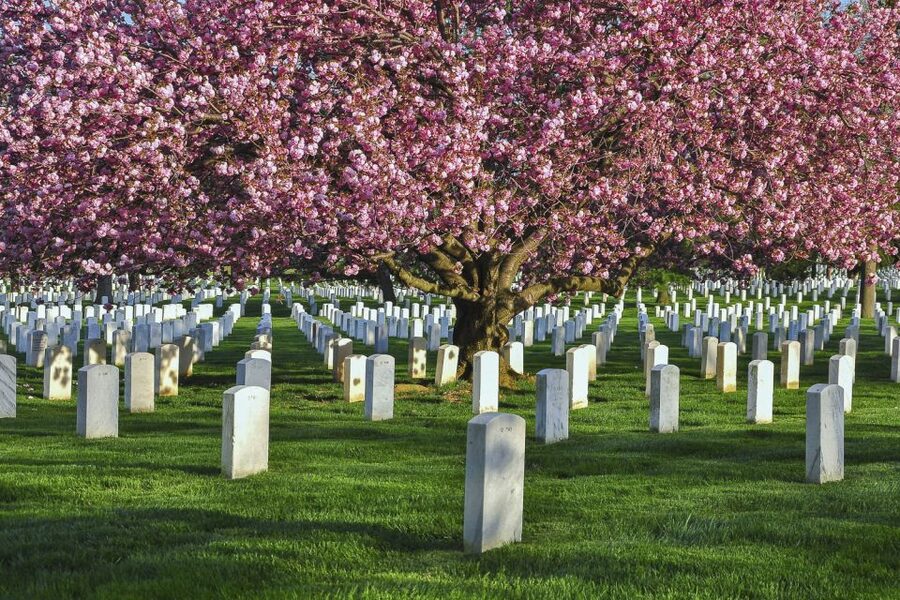 Arlington Cemetery Walk with National Mall Night Bus Tour - The 7:30pm National Mall night bus: 10 stops, lit monuments, easier timing