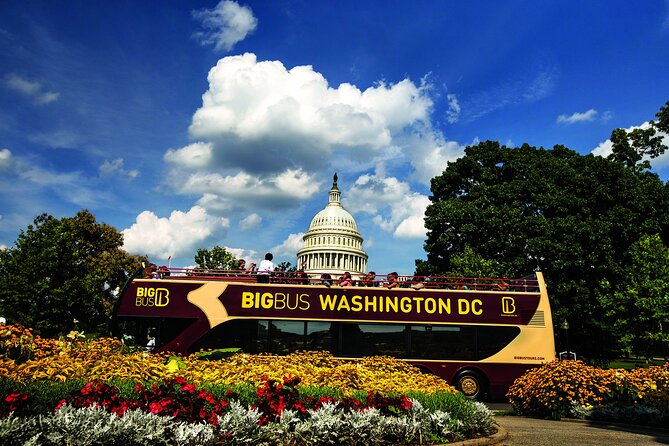 Best of DC: Hop-on Hop-off, Night Tour, and Arlington Audio Guide - Key highlights you’ll feel right away