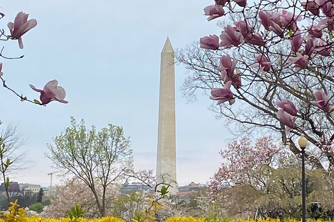 Beyond the Closet Walking Tour - Dupont Circle: the first gay bookstore and how it fed Capital Pride