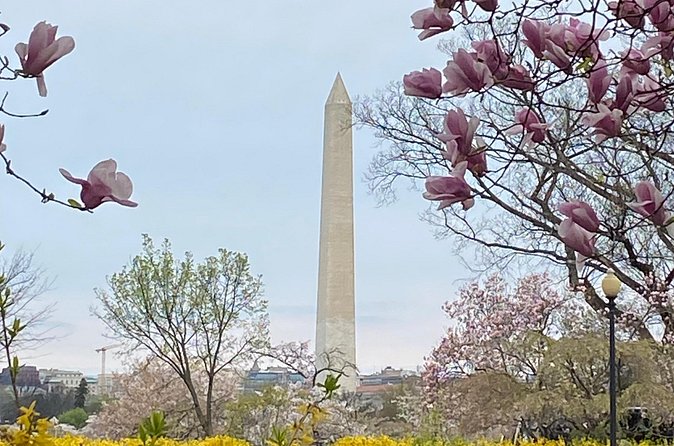 Beyond the Closet Walking Tour - What to bring (and what not to expect) on this walking tour