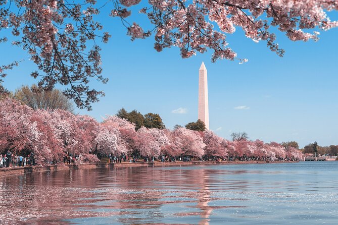 Cherry Blossom & Monuments Tour with Washington Monument, Museums - Air and Space, African American History & Culture: Self-Guided Add-Ons