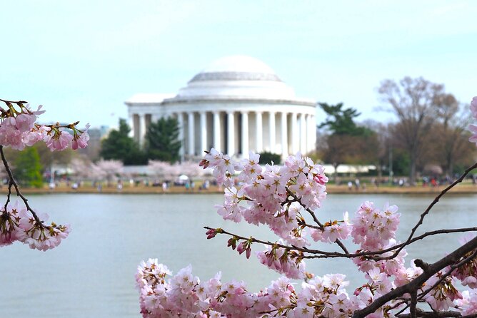 Cherry Blossom & Monuments Tour with Washington Monument, Museums - White House and U.S. Capitol: Getting the Photos Without the Hassle