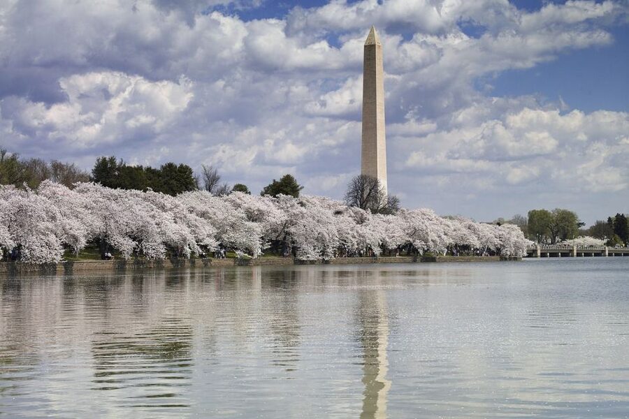City Tour with 10+ Stops, Washington Monument or Air & Space - Price and Value: Is $59 Worth It for a Monument Sampler?
