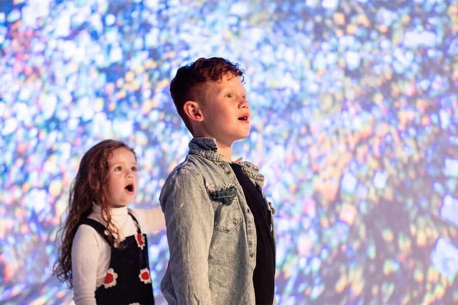 DC: All Creation Sings- Museum of the Bible Exhibition Entry - FAQ