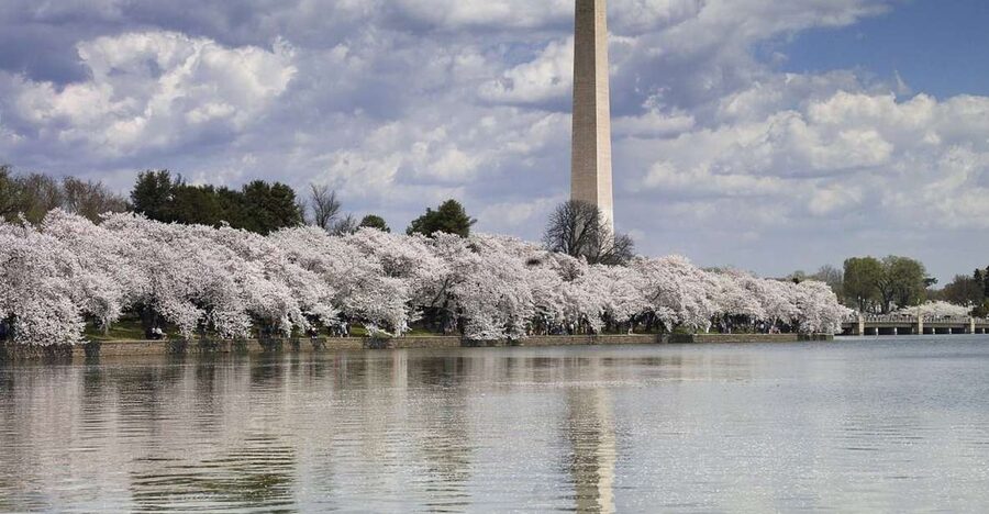 DC Bus Tour with Optional Washington Monument or Air & Space - Timing, traffic, and meeting point reality checks