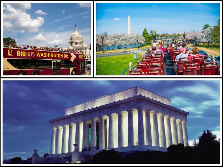 DC: Hop-on Hop-off, Arlington Walking Tour, and Night Tour - A 1–3 Day DC Combo Built for Your Pace