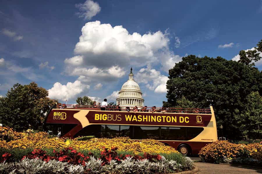 DC: Hop-on Hop-off, Arlington Walking Tour, and Night Tour - National Mall to White House to Capitol: How to Plan Stops That Matter