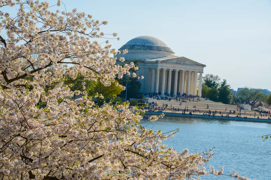 DC: Hop-on Hop-off, Arlington Walking Tour, and Night Tour - If You Miss Arlington Season: Self-Guided Still Helps