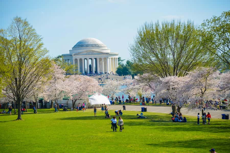 DC: Hop-On Hop-Off with 17 Stops plus Arlington Walking Tour - Open-Top Views and Clear Audio: The Ride Part Works