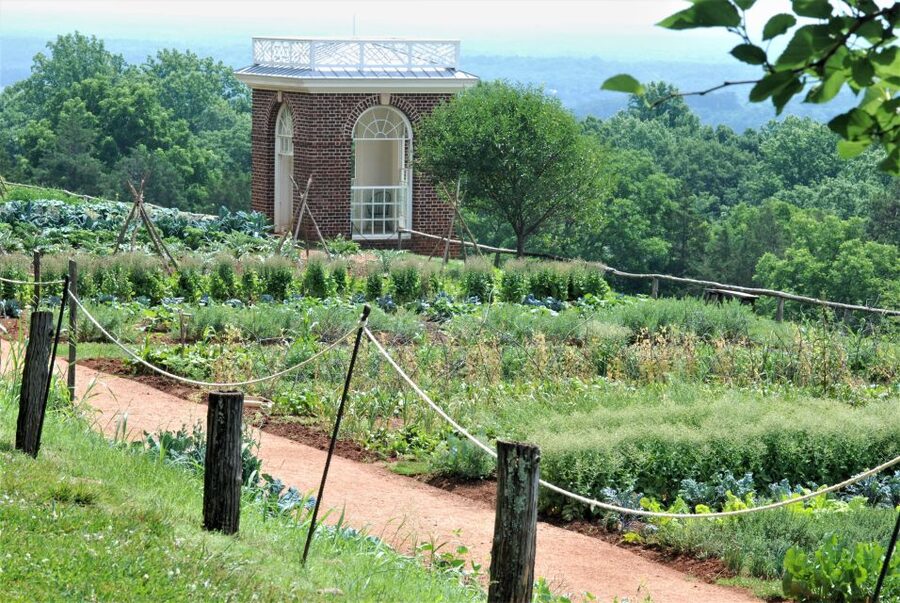 DC: Private Day Trip to Thomas Jefferson’s Monticello Estate - The Ride to Charlottesville: Use the Time Wisely