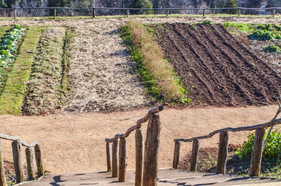 DC: Private Day Trip to Thomas Jefferson’s Monticello Estate - The Estate Grounds, Gardens, and the Blue Ridge Views