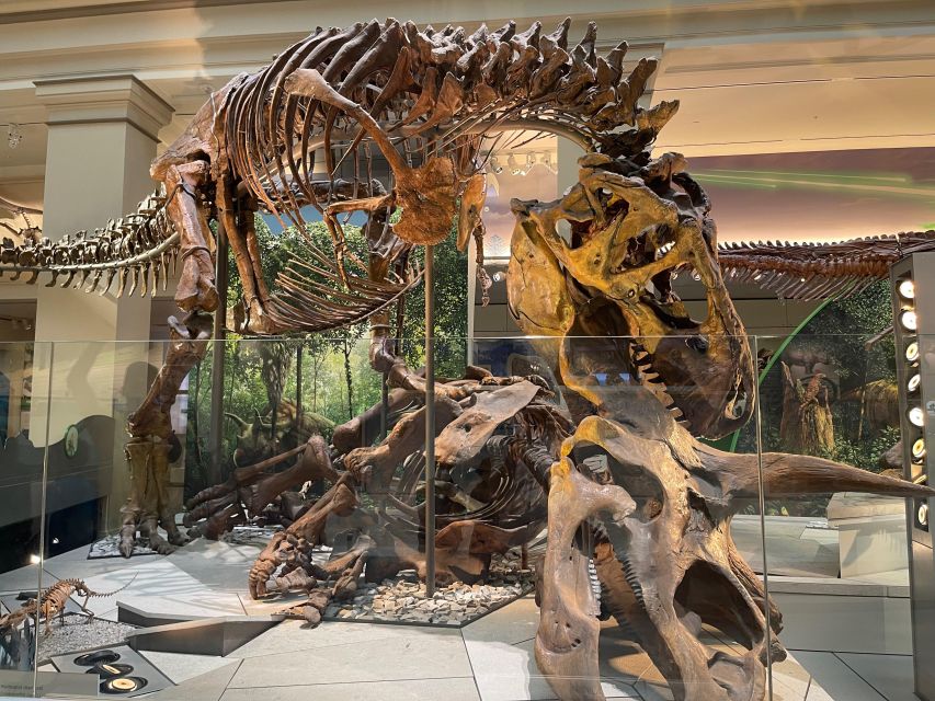 DC: Smithsonian Highlights Walking Tour with Air and Space - Price and Value: Is $79 a Good Deal for This Much DC?