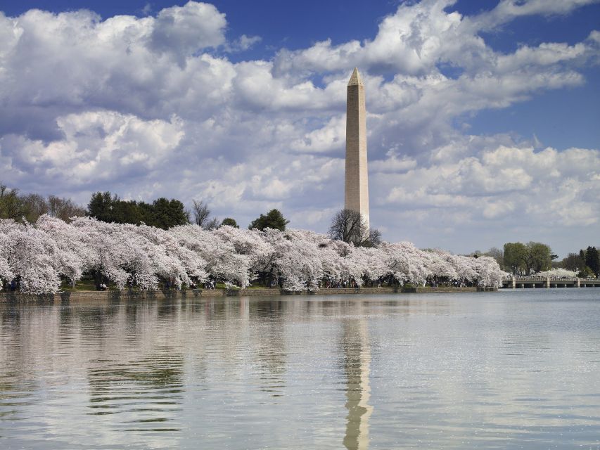DC: Tour with U.S. Capitol Ground Access - Lunch on your own: Georgetown in season, The Wharf off-season