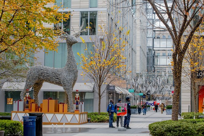 Downtown DC Holiday Tour: Lights, Decorations & Festive Cheer - Holiday Street Market: Your Festive Warm-Up in Downtown DC