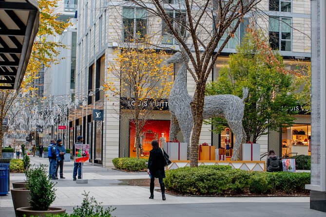 Downtown DC Holiday Tour: Lights, Decorations & Festive Cheer - Timing, Walking Pace, and What to Bring