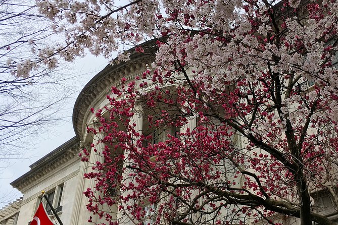 Dupont Circle and Embassy Row Architectural Walking Tour - The Embassy Stories: When Millionaire Houses Become Diplomacy
