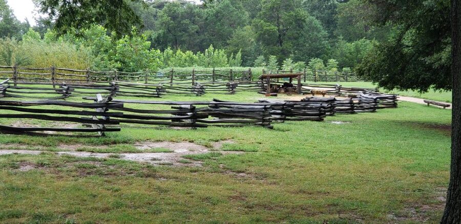 From Washington DC: Old Town Alexandria & Mount Vernon Tour - Gardens, Grounds, and Free Time: Where Your Day Opens Up