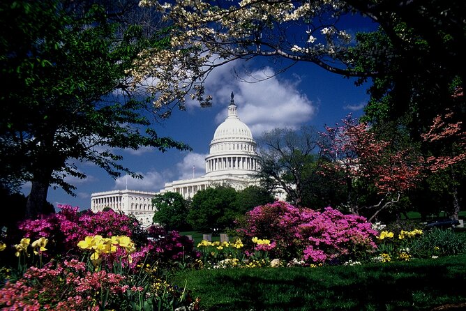 Guided Capitol Hill with US Capitol and Library of Congress Entry - Walking, Crowds, and What Your Body Needs for This Day
