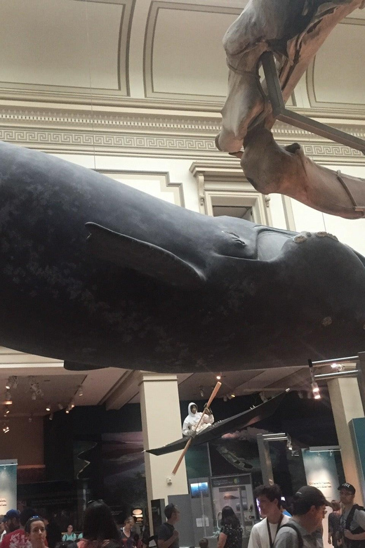 Guided Tour of The Natural History Museum - Starting at 900 Constitution Ave NW: how the meet-and-go keeps you moving
