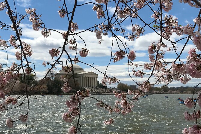 Half-Day Private Guided Bike Tour in Washington - US Botanic Garden, Bartholdi Fountain, and Lincoln Park stories