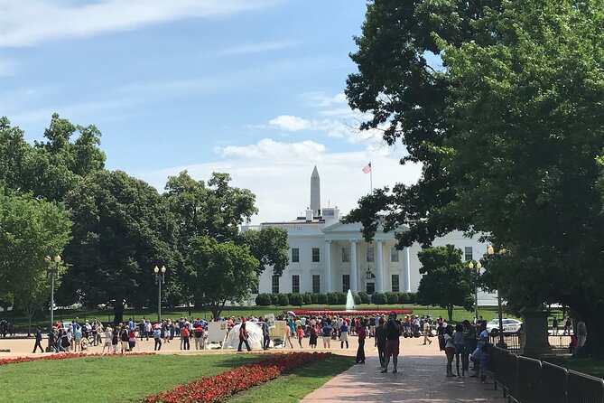 Half-Day Private Guided Bike Tour in Washington - Price, pace, and who this private bike tour fits best