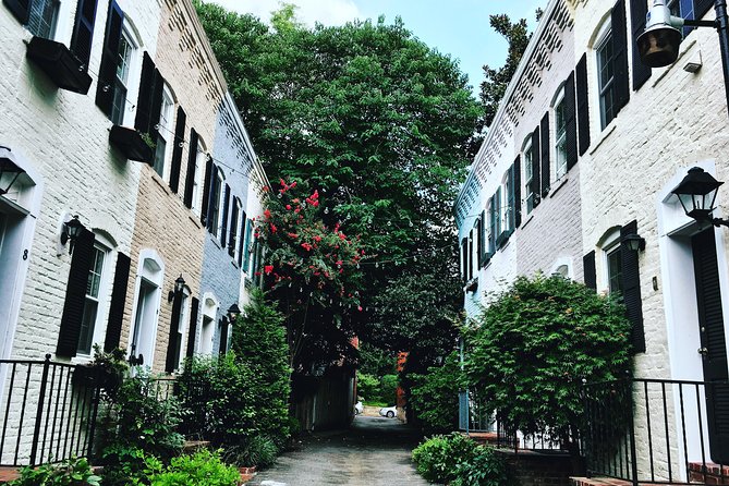 Historic Georgetown Architectural Walking Tour - Starting at Baked & Wired: the quickest way to get oriented