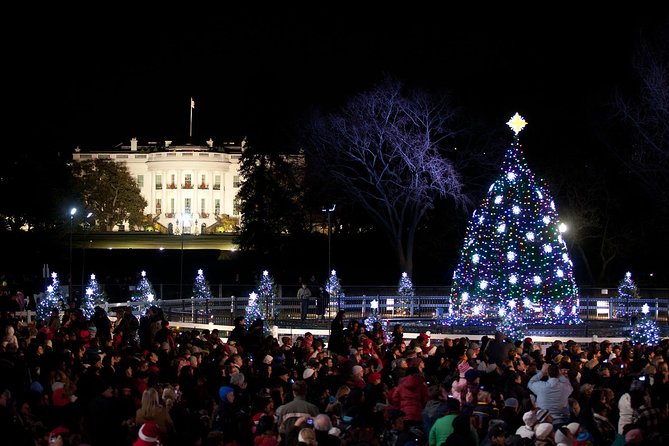 Holiday Lights Tour of Washington DC and Old Town Alexandria - Your 20-minute stops: what you’ll actually see in the dark