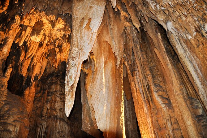 Luray Caverns and Shenandoah Small Group Max 12 Day Tour from D.C - Shenandoah National Park on Skyline Drive: Overlooks Plus an Easy Walk