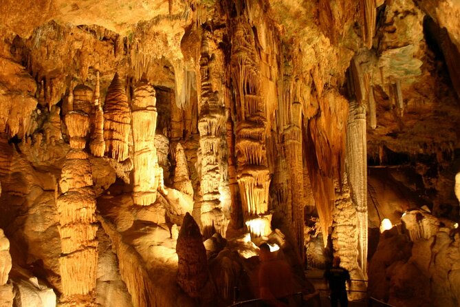 Luray Caverns and Shenandoah Small Group Max 12 Day Tour from D.C - What Small-Group Comfort Feels Like on the Road