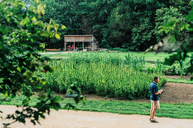 Mount Vernon and Old Town Alexandria Day Trip from Washington DC - Should you book? My straight answer