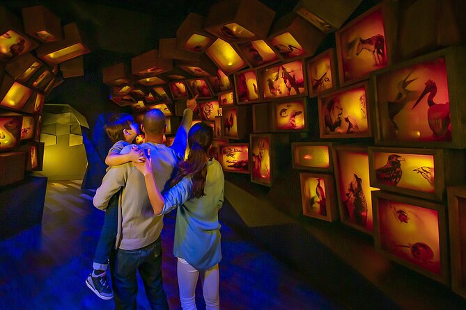 Museum of the Bible Admission Ticket - Your 3-Hour Game Plan: How the Visit Actually Flows