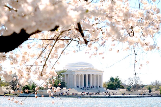 National Mall & Cherry Blossoms Tour with Optional Museum Tickets - Comfort, group size, and hearing your guide without losing your mind