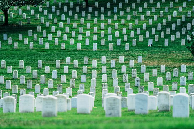 National Mall Highlights with Cherry Blossom & Arlington Cemetery - Capitol Exterior Photos and Why the Timing Works