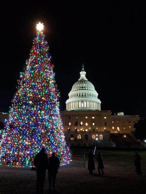 National Mall & Monuments Night Tour with 10+ Stops, Tickets - Pass-By Sights: Washington Monument, Arlington Cemetery, and Smithsonian Area Views