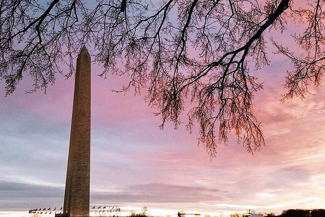 National Mall Tour w/ Washington Monument Semi-Private 12ppl Max - Lincoln Memorial: the calm start that sets the tone