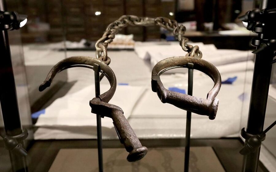 Natural History Museum & American History Museum - Key highlights worth getting excited about