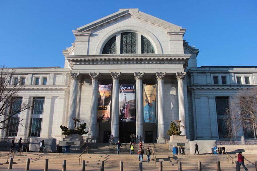 Natural History Museum & American History Museum - What makes the guide-led “highlights” format worth it