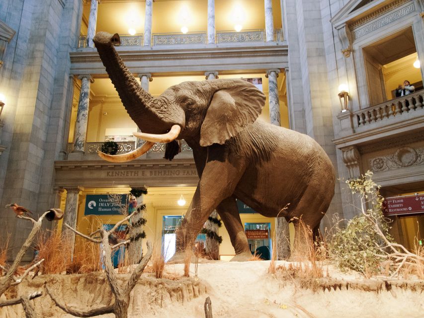 Natural History Museum & American History Museum - Price and timing: is $166 a good deal?
