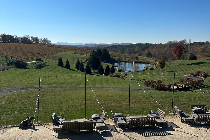 Northern Virginia Private Custom Wine Tour and Tasting from DC - Stop 2 at Blue Valley Vineyard and Winery: More Time for the Main Tasting