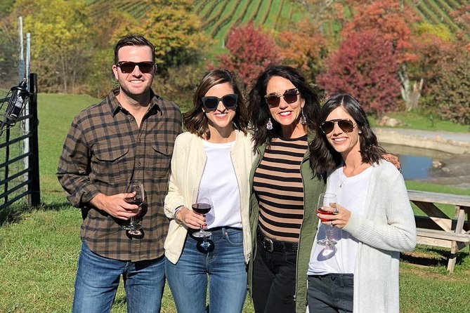 Northern Virginia Private Custom Wine Tour and Tasting from DC - Who This Tour Fits Best