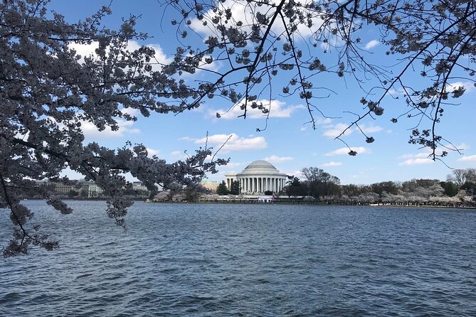 NYC to D.C Day Trip: Thomas Jefferson Memorial to Cherry Blossoms - A 7:00 a.m. coach run from New York that keeps your day sane