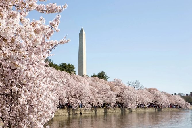 Presidential DC: Capitol Hill + DC Bus Tour, US Capitol Entry - MLK Memorial: The Stone of Hope and a Design Built on Words