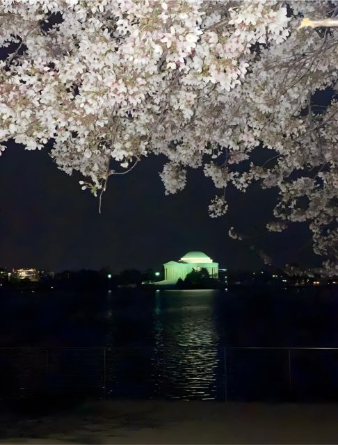 Private DC at Night Tour - World War II Memorial and Jefferson Memorial: Two Different Kinds of Meaning