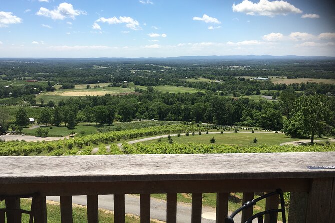 Private Loudoun County Wine Tour from DC with 3 Winery Stops - Timing, pickup, and smart-casual expectations