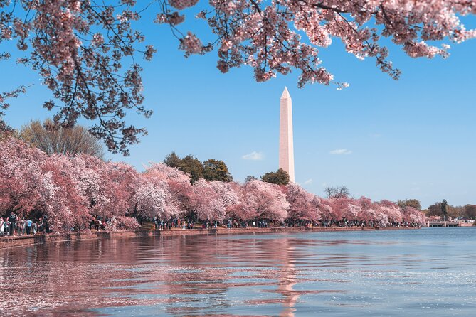 Private Tour of Washington DC - Why a private DC limo circuit beats the bus plan