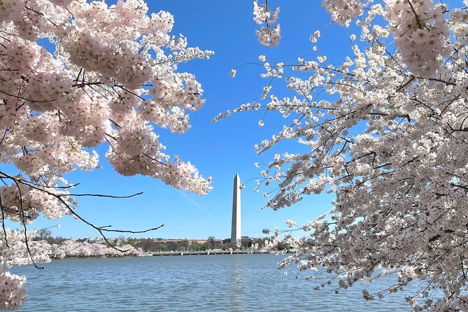 Private Washington DC City Tour | Monuments Tour - Price and value math for a group of up to 3